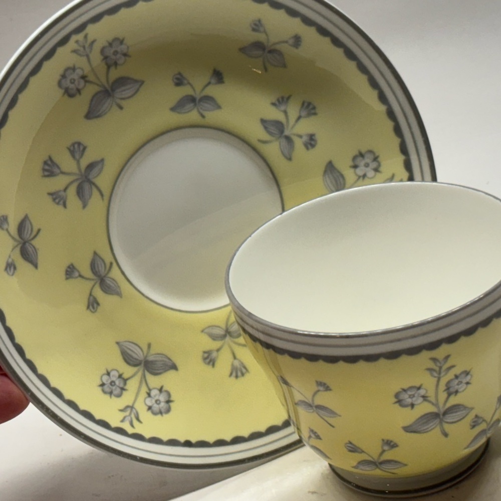 Wedgwood Pimpernel W3652 Teacup and Saucer Porcelain Bone China Made In England